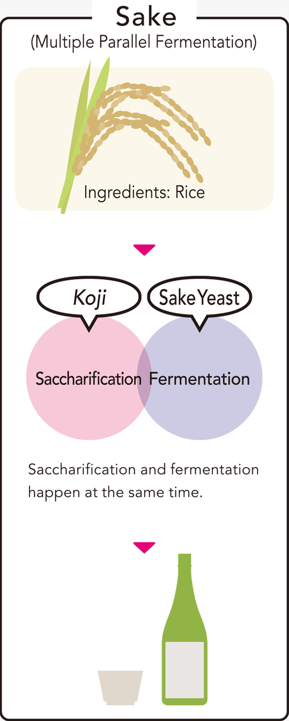 Basic knowledge of Japanese sake Seek the Story of Sake
